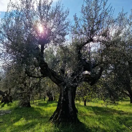 Poggio Del Sole カスティリオーネ・デル・ラーゴ