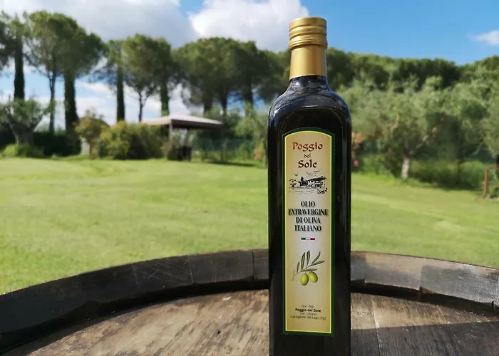 Poggio Del Sole Alloggio per agriturismo Castiglione del Lago