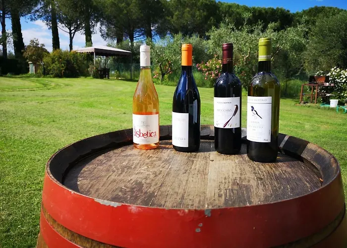 Poggio Del Sole Alloggio per agriturismo